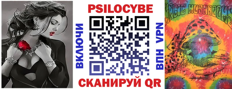 Псилоцибиновые грибы GOLDEN TEACHER  Купить где  Бакал 